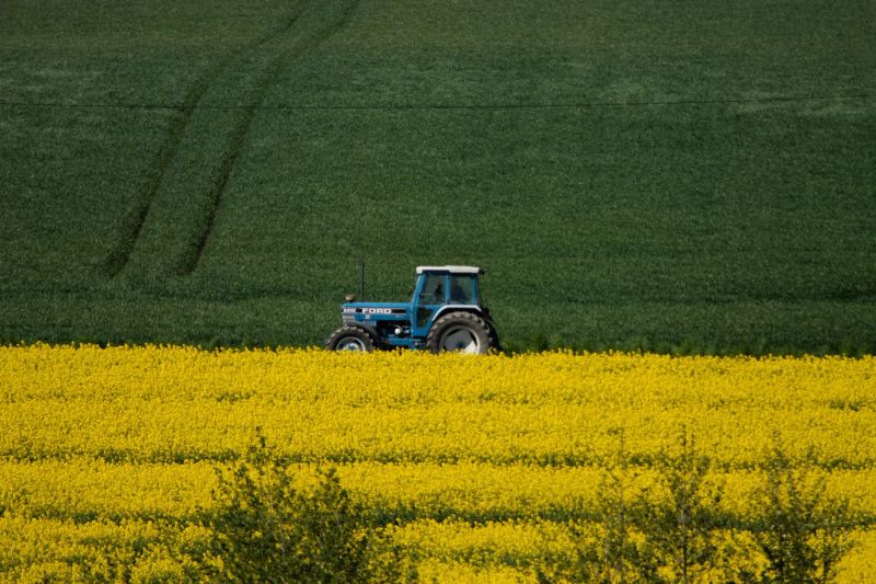 Farmer walking through a fruit orchard near sunset